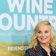 Illustration for article titled Amy Poehler’s key to wine-tasting is bullshit—as in, you can just bullshit